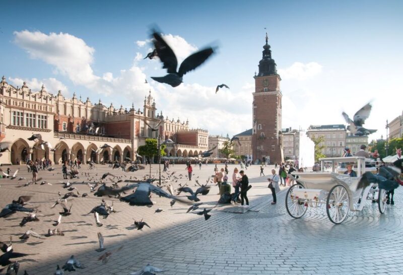 From Katowice: Krakow Old Town Private Guided Day Trip - The Jagiellonian University and Collegium Maius Visit