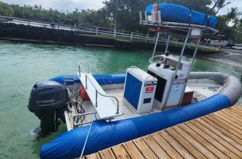 From Keauhou Bay: Manta Ray Night Tour - Safety and Accessibility Notes for the Tour