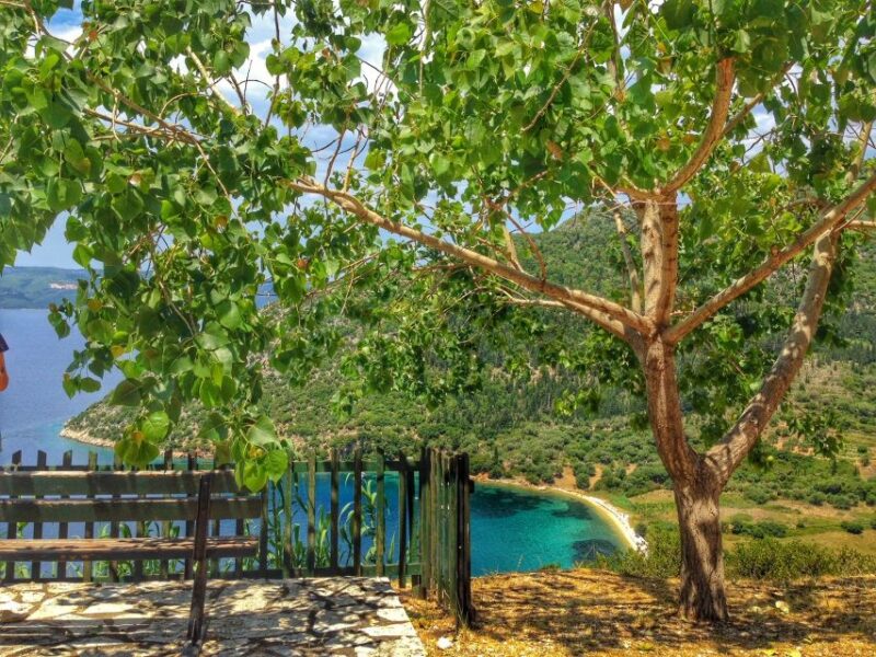 From Kefalonia: Ithaca Island Full-Day Bus Tour - Return Journey and Scenic Views from the Coach