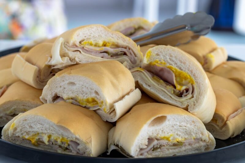 From Key West: Dolphin Watching Tour with Lunch & Drinks - Who This Dolphin Watching Tour Is Perfect For