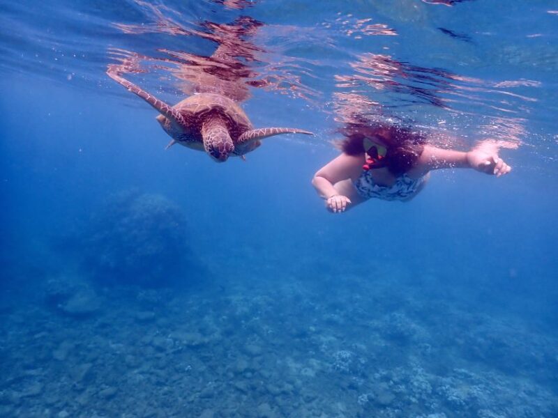 From Kihei: Molokini Crater and Turtle Town Snorkeling - Encountering Green Sea Turtles at Turtle Town