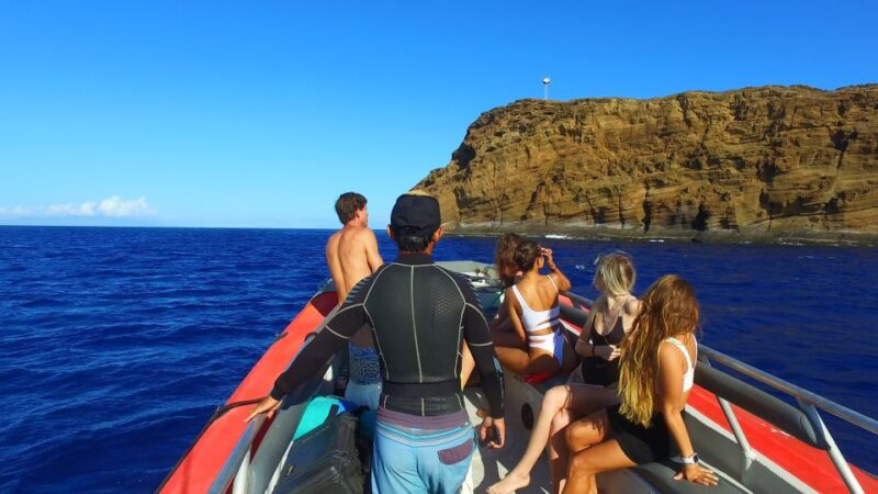 From Kihei: Molokini Crater and Turtle Town Snorkeling - Practical Details: What to Bring and What’s Not Included