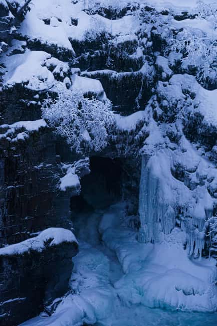 From Kiruna: Explore Abisko by Day - Wildlife Spotting Tips and Arctic Creatures