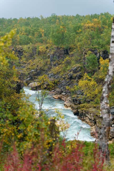 From Kiruna: Explore Abisko by Day - Price and Booking Flexibility