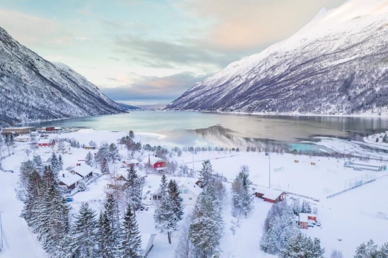 From Kiruna: Narvik City and Fjord Day Trip - Opportunities for Photography and Relaxation
