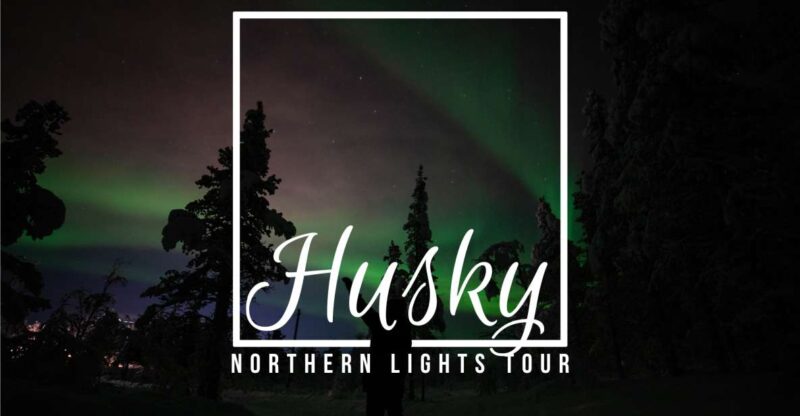 From Kiruna: Northern Lights Guided Husky Sledding Adventure - Key Points