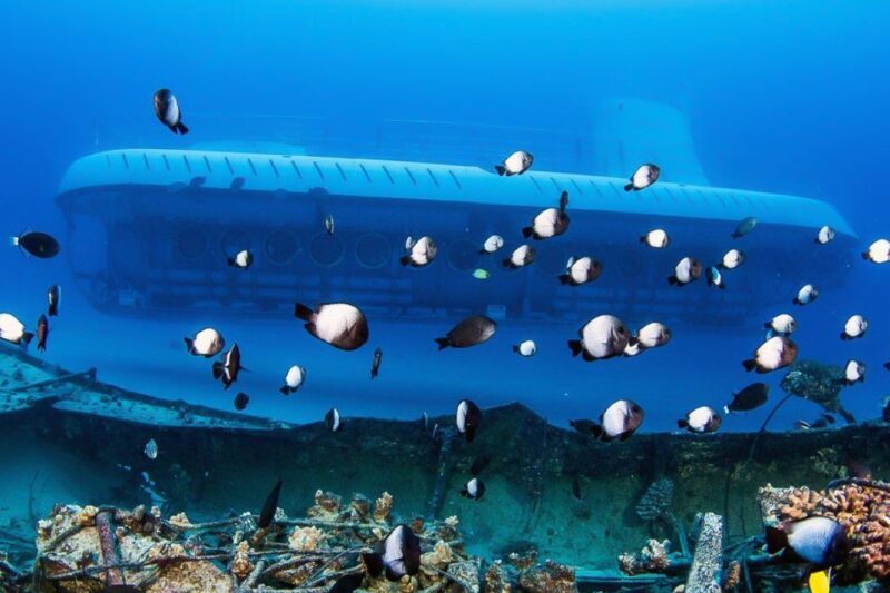 From Kona: Big Island Underwater Submarine Adventure - How This Tour Differs From Other Kona Activities