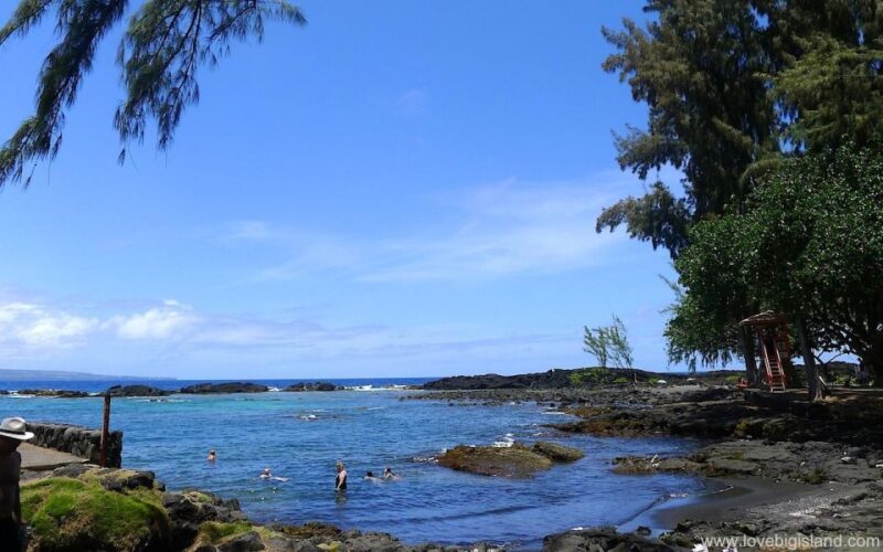 From Kona: Volcano & Waterfall Tour, Small Group - Walking Through the Thurston Lava Tube