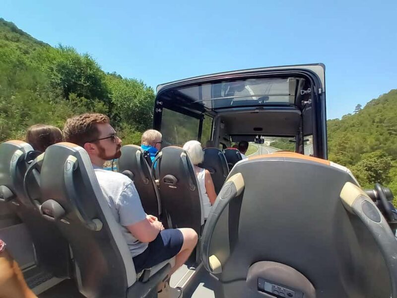 From Korcula Town: Local Wine & Sightseeing Half-Day Tour - Key Points