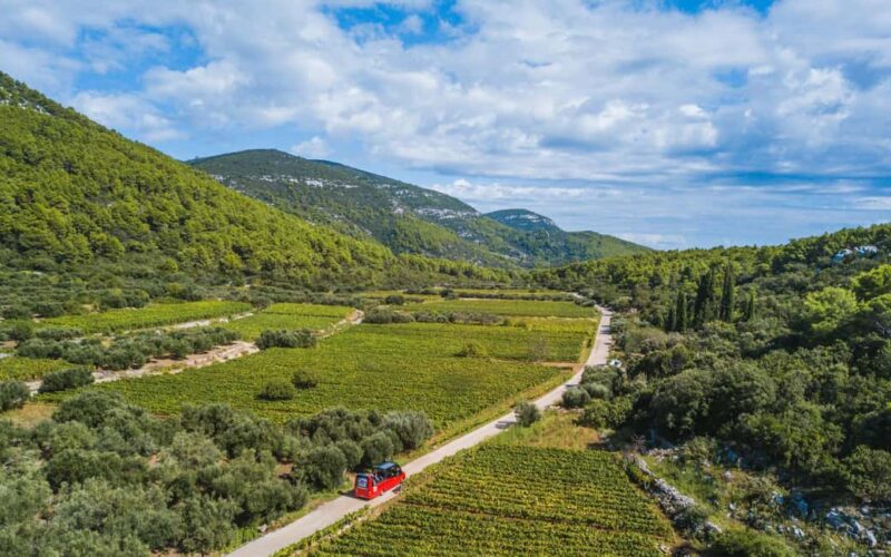 From Korcula Town: Local Wine & Sightseeing Half-Day Tour - Visiting Charming Family-Owned Wineries