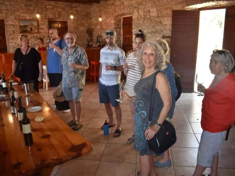 From Korcula Town: Local Wine & Sightseeing Half-Day Tour - Tasting a Wide Range of Croatian Wines and Local Products