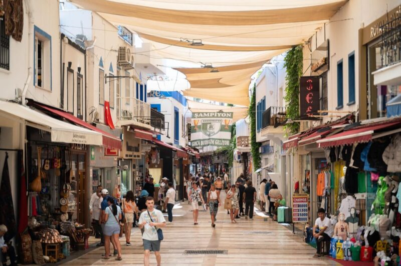 From Kos: A day ride to Bodrum with comfortable transfer - Return Journey and Ferry Ride Back to Kos