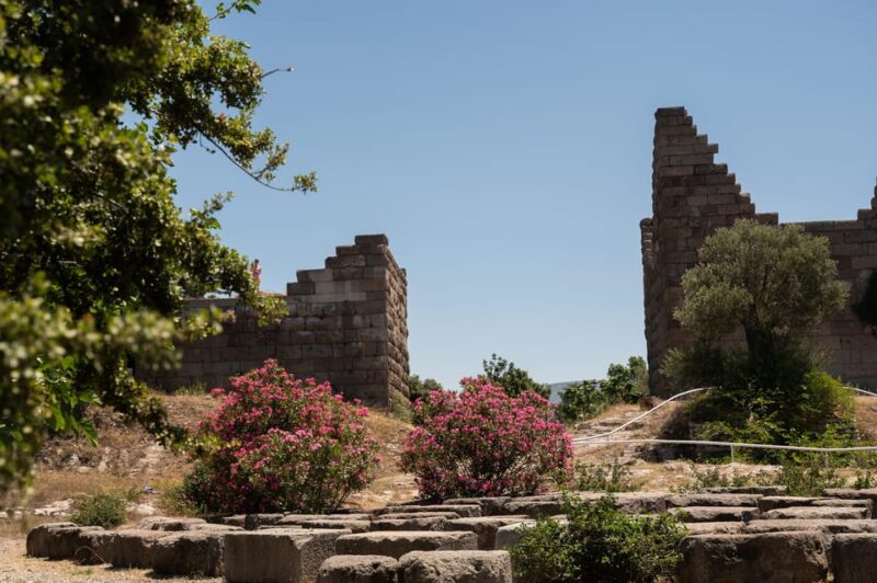 From Kos: A day ride to Bodrum with comfortable transfer - Who Will Enjoy This Tour Most?