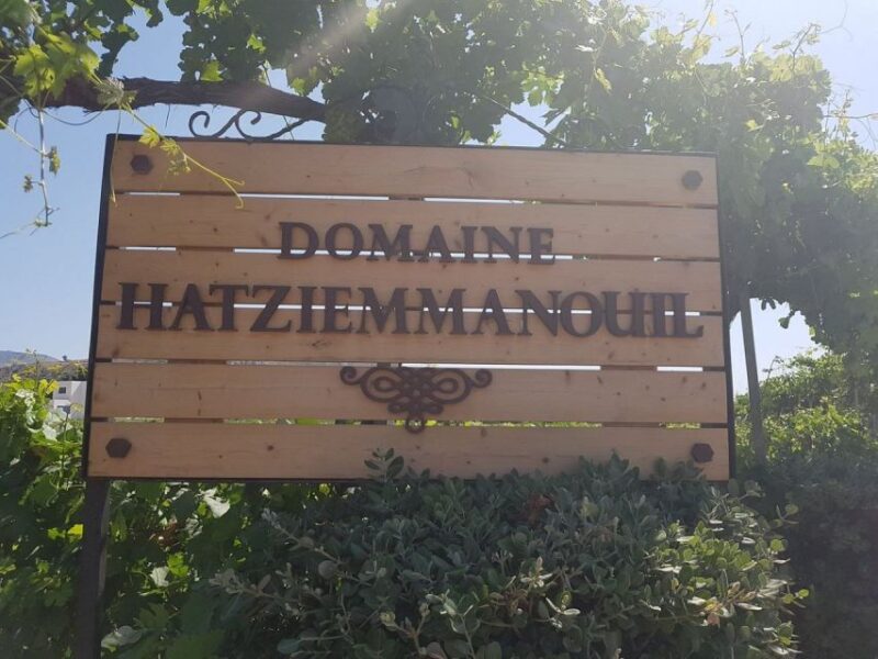 From Kos: Tour of 2 Wineries with Wine Tasting & Small Bites - Key Points