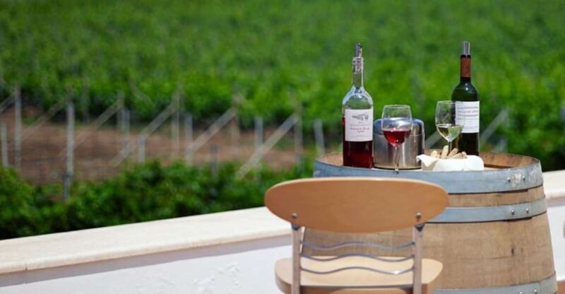 From Kos: Tour of 2 Wineries with Wine Tasting & Small Bites - Unmatched Views and Vineyard Scenery