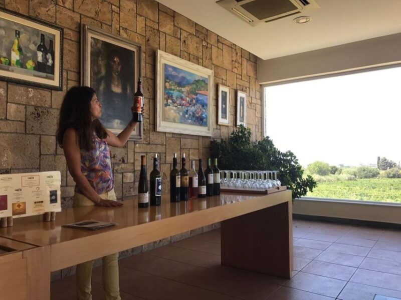 From Kos: Tour of 2 Wineries with Wine Tasting & Small Bites - Comparing the Wineries: Traditional vs. Modern Approaches