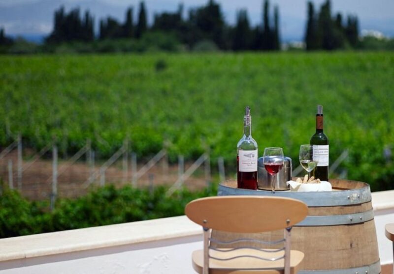 From Kos: Tour of 2 Wineries with Wine Tasting & Small Bites - Overall Value and Experience Quality