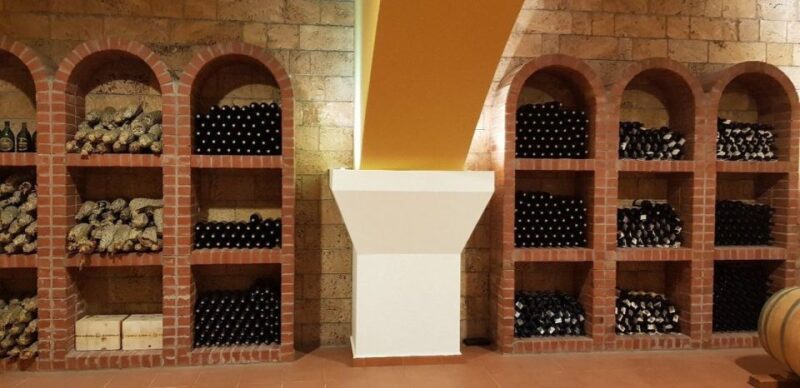 From Kos: Tour of 2 Wineries with Wine Tasting & Small Bites - Who Will Enjoy This Tour Most?