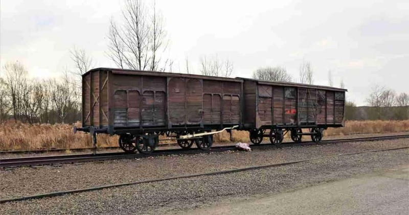 From Kracow: Auschwitz Complex Alternative Tour - Logistics, Accessibility, and Practical Tips