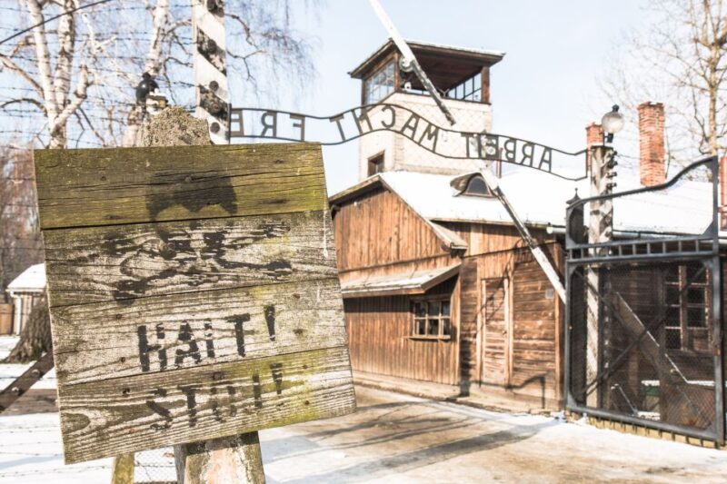 From Krakow: Auschwitz and Wieliczka Salt Mine Full-Day Trip - The Experience of Guides and Drivers