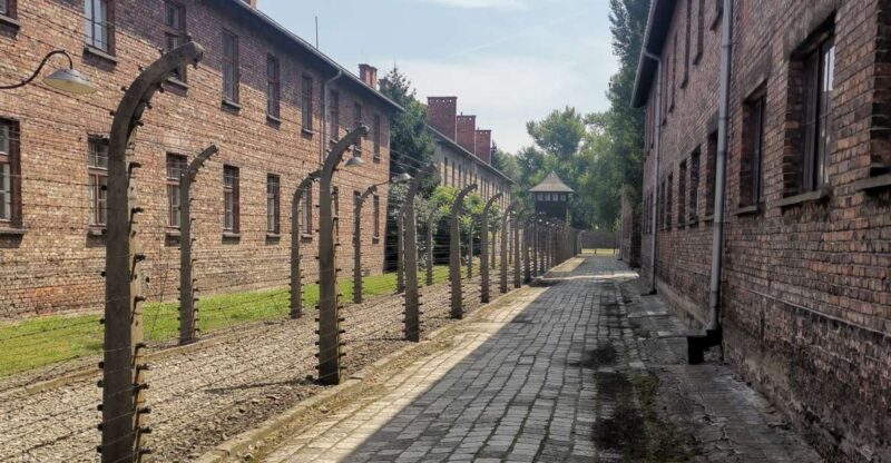 From Krakow: Auschwitz-Birkenau Camp Complex Guided Day Trip - Walking Through Auschwitz: From Barracks to the Gate