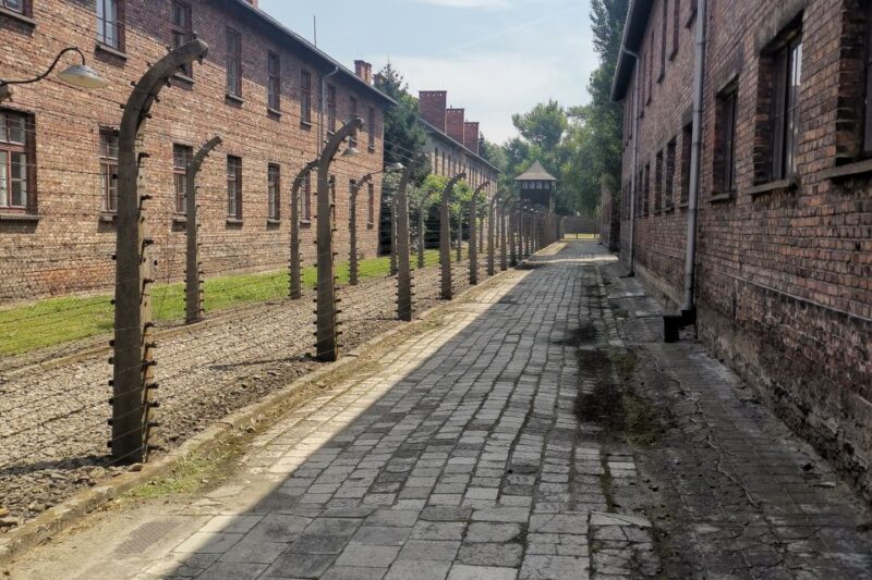 From Krakow: Auschwitz-Birkenau Camp Complex Guided Day Trip - The Role of the Italian-Guided Tour