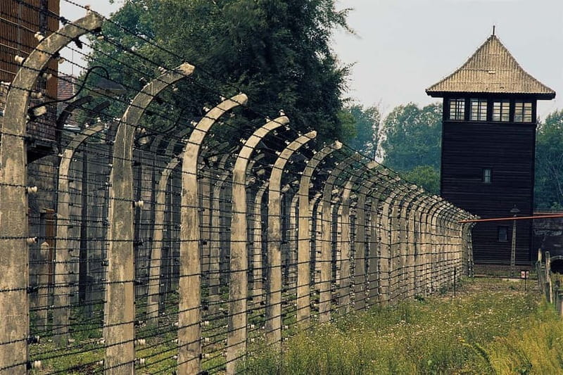 From Krakow: Auschwitz-Birkenau Day Tour with Pickup - The Significance of the Guidebook and Optional Guided Tours
