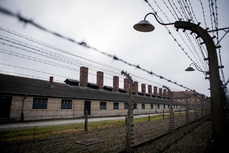 From Krakow: Auschwitz-Birkenau Day Tour with Pickup - Who Will Appreciate This Auschwitz-Birkenau Tour?