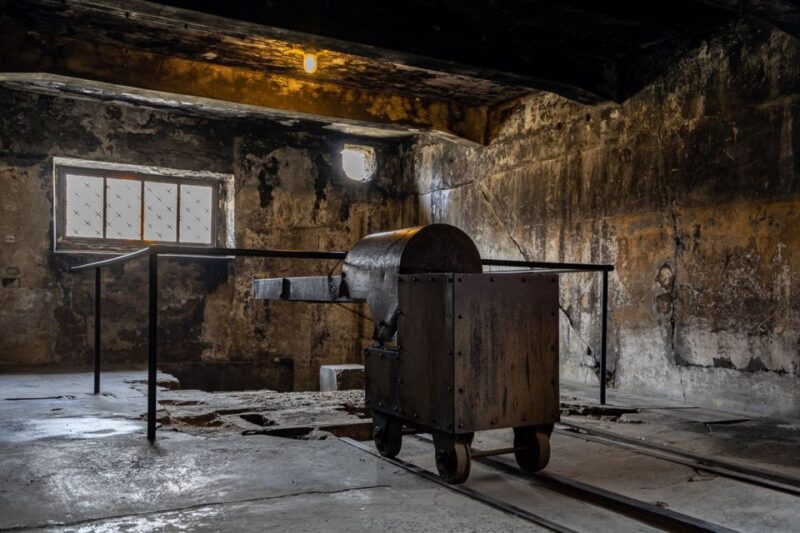 From Krakow: Auschwitz-Birkenau Full-Day Guided Tour - What Makes This Tour Stand Out