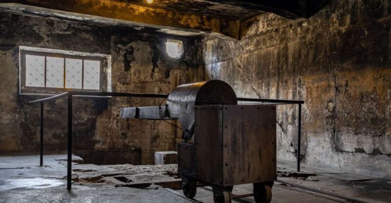 From Krakow: Auschwitz-Birkenau Full-Day Tour - The Role of the Licensed Guides