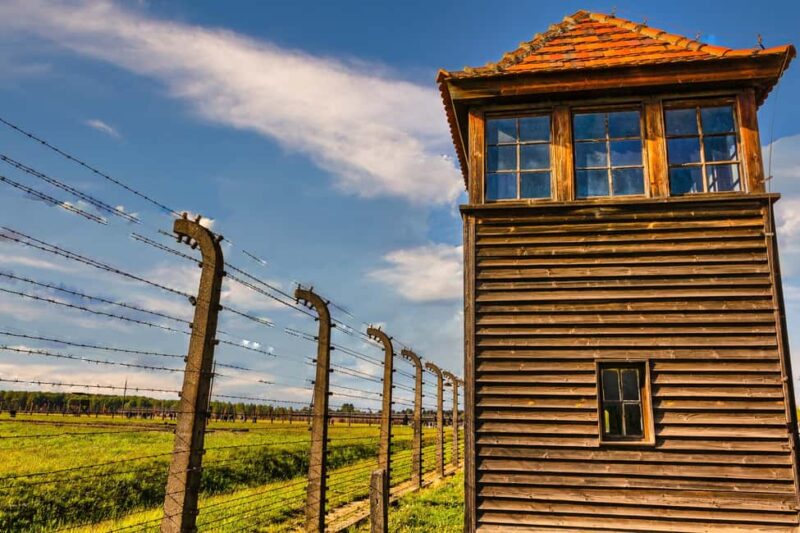 From Krakow: Auschwitz-Birkenau Full-Day Guided Tour - The Role of the Guides in Shaping the Experience
