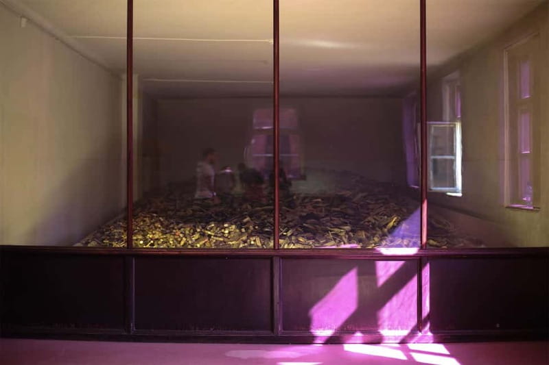 From Krakow: Auschwitz-Birkenau Guided Tour & Pickup Options - Who Should Consider This Tour