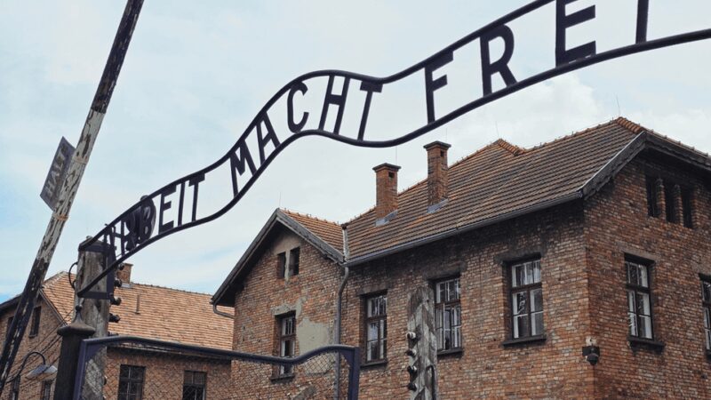 From Krakow: Auschwitz-Birkenau Guided Tour, Several Options - Visiting Auschwitz I: The Gate and the Barracks