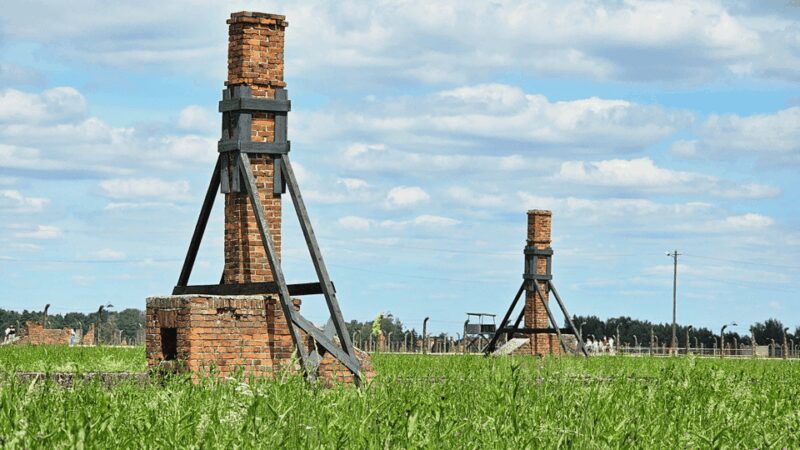 From Krakow: Auschwitz-Birkenau Guided Tour, Several Options - Practical Tips: Logistics, Timing, and Comfort