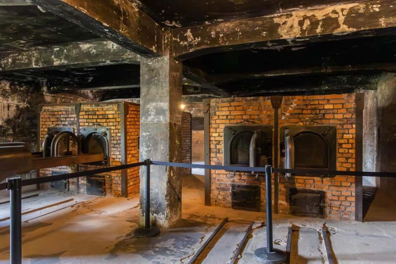 From Krakow: Auschwitz-Birkenau Guided Tour with Transport - Logistics and Comfort During the Day