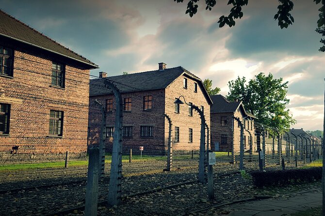 From Krakow: Auschwitz-Birkenau: Guided Tours & Private Transport - Pricing, Inclusions, and Limitations