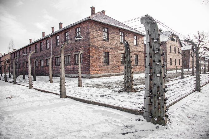 From Krakow: Auschwitz-Birkenau Memorial and Museum Guided Tour - Practical Details: Food, Accessibility, and Group Size