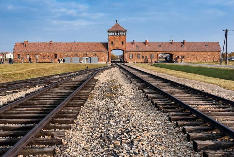From Krakow: Auschwitz-Birkenau Memorial and Museum Tour - Key Points