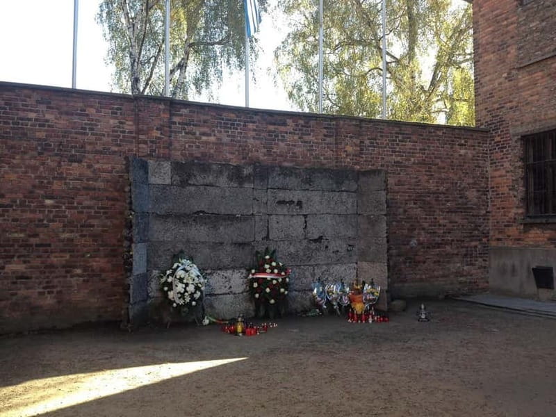 From Krakow: Auschwitz-Birkenau Memorial and Museum Tour - Transportation and Comfort During the Journey