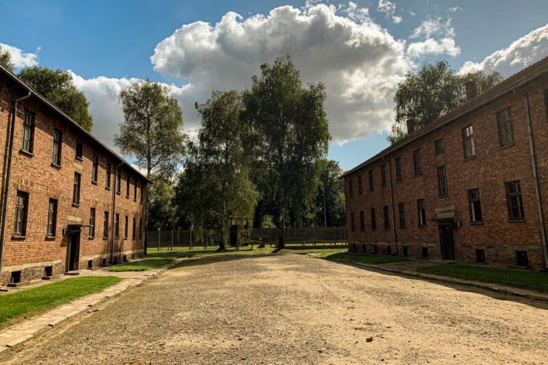 From Krakow: Auschwitz-Birkenau Memorial and Museum Tour - Auschwitz-Birkenau Memorial and Museum Tour from Krakow