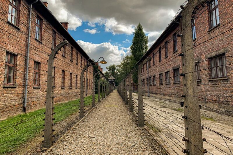 From Krakow: Auschwitz-Birkenau Memorial and Museum Tour - The Power of Documentary Films and Live Commentary