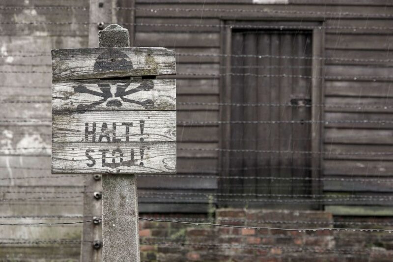 From Krakow: Auschwitz-Birkenau & Schindler's Factory Tour - The Guided Tour Experience at Auschwitz