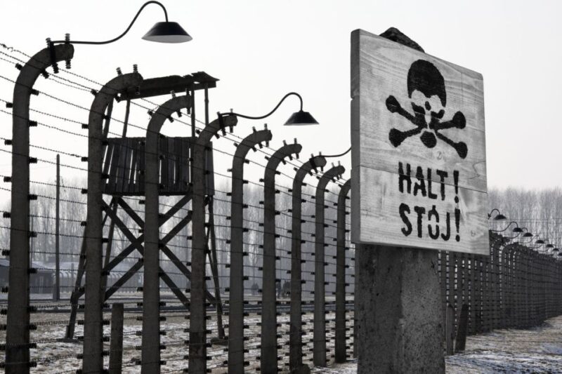 From Krakow: Auschwitz-Birkenau Tour - Practical Details: Meeting Points and Accessibility