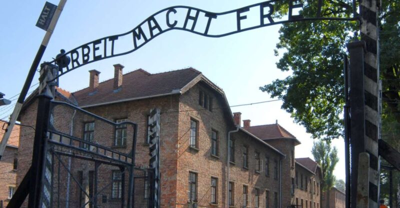 From Krakow: Auschwitz-Birkenau Tour - Accessibility and Restrictions