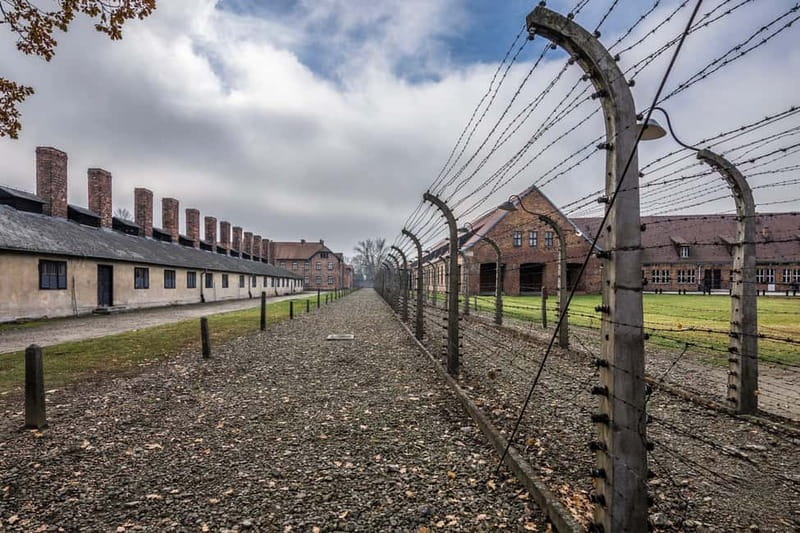 From Krakow: Auschwitz-Birkenau Tour with Transfer - Key Points