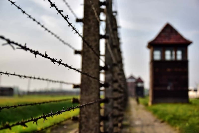 From Krakow: Auschwitz-Birkenau Tour with Transfer - The Experience of Waiting in Line