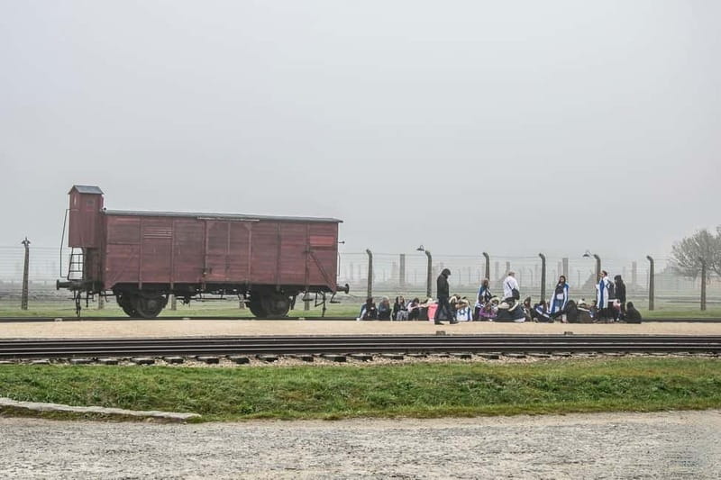 From Krakow: Auschwitz-Birkenau Tour with Transfer - The Role of Tour Guides During the Visit