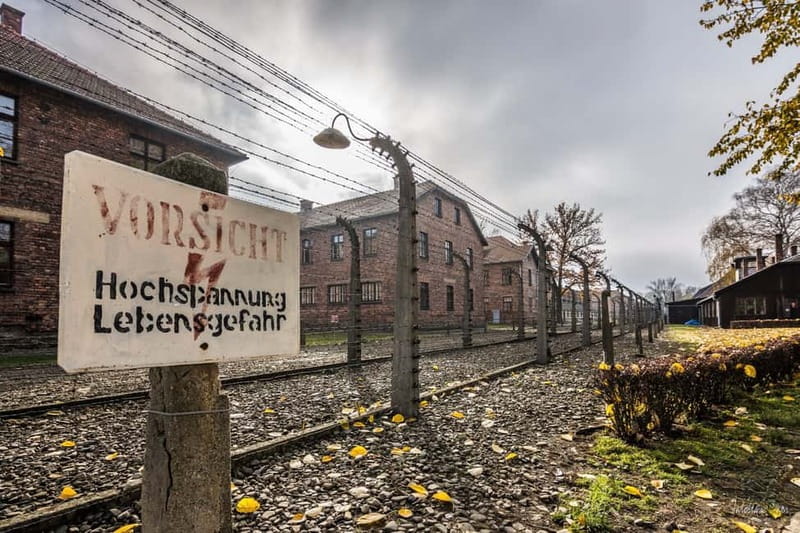 From Krakow: Auschwitz-Birkenau Tour with Transfer - Who Should Consider This Tour