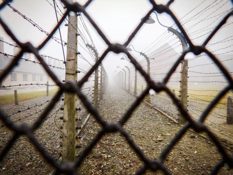 From Krakow: Auschwitz-Birkenau Tour with Transportation - Exploring Auschwitz I and Birkenau on Your Own