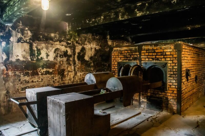 From Krakow: Auschwitz-Birkenau Tour with Transportation - The Historical Significance of Auschwitz and Birkenau